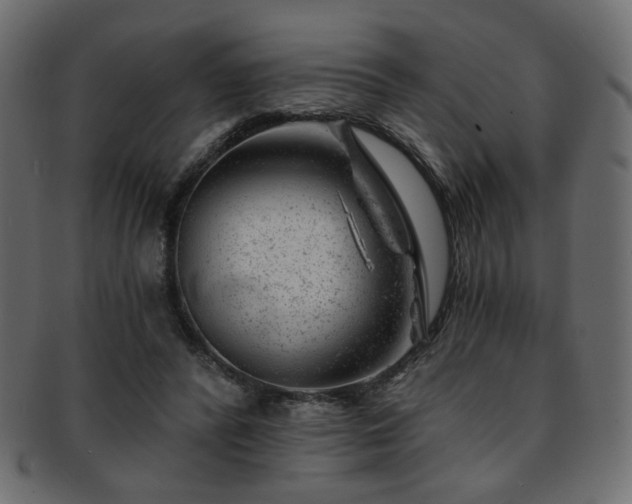 X0000093210400200709261600