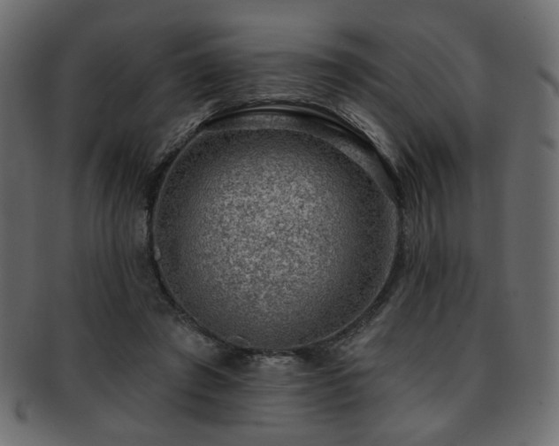 X0000093210401200709261600