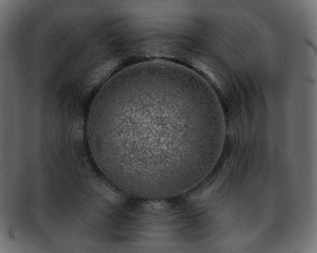 X0000093210402200709261600
