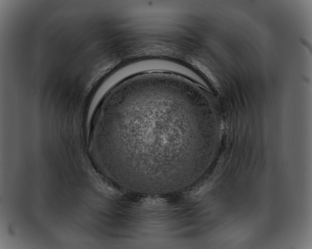 X0000093210403200709261600