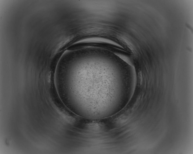X0000093210404200709261600