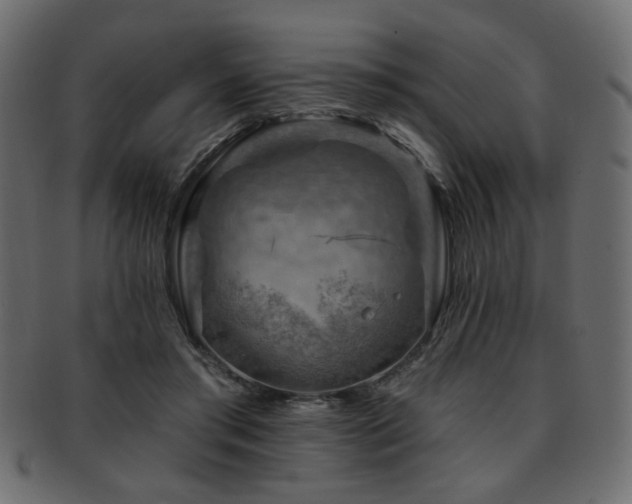 X0000093210405200709261600