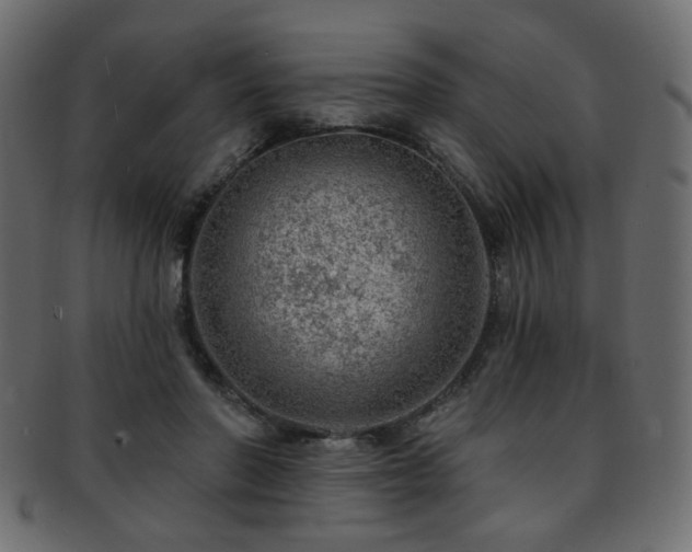 X0000093210406200709261600
