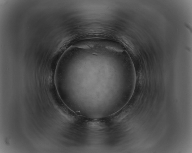 X0000093210408200709261600