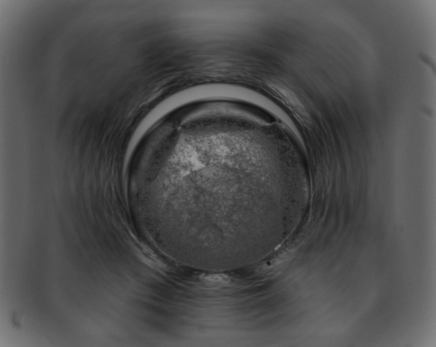 X0000093210409200709261600