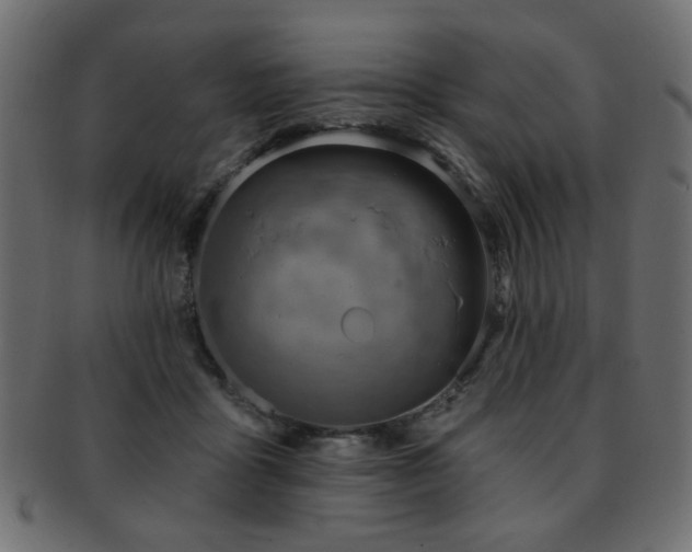 X0000093210411200709261600