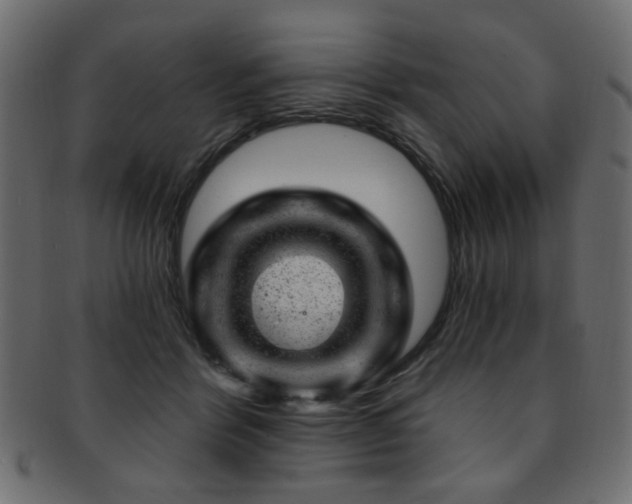 X0000093210412200709261600