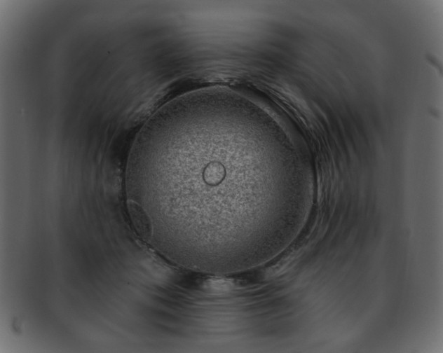 X0000093210413200709261600