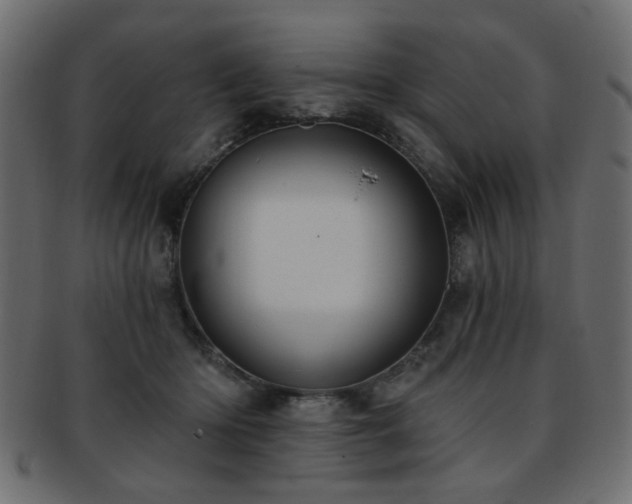 X0000093210414200709261600