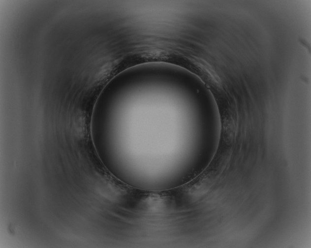X0000093210416200709261600