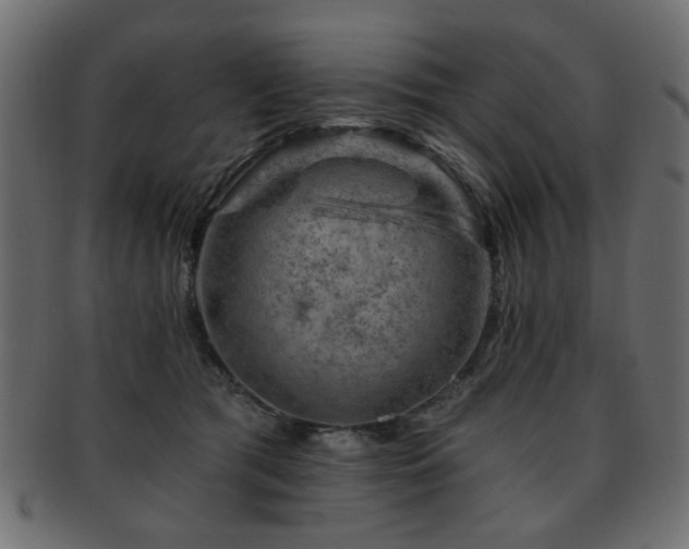 X0000093210417200709261600
