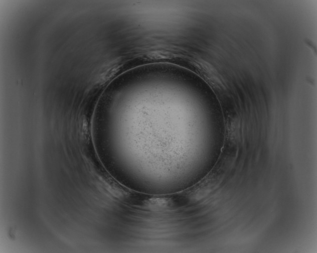 X0000093210418200709261600