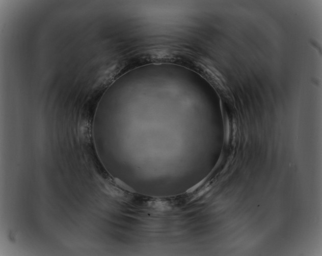 X0000093210419200709261600