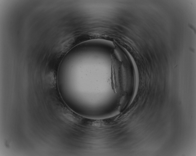 X0000093210420200709261600