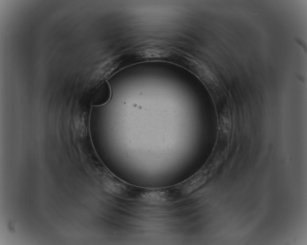 X0000093210422200709261600