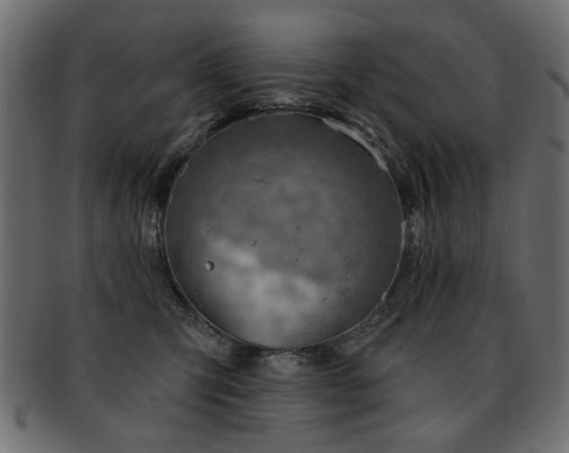 X0000093210423200709261600