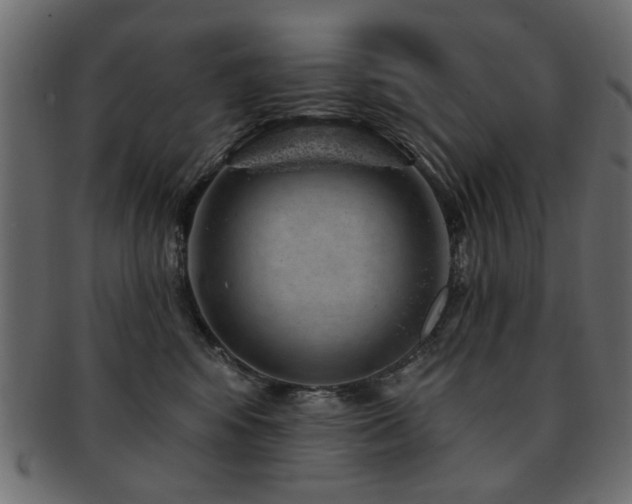 X0000093210424200709261600
