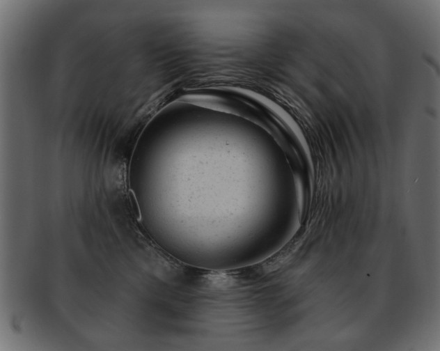 X0000093210425200709261600