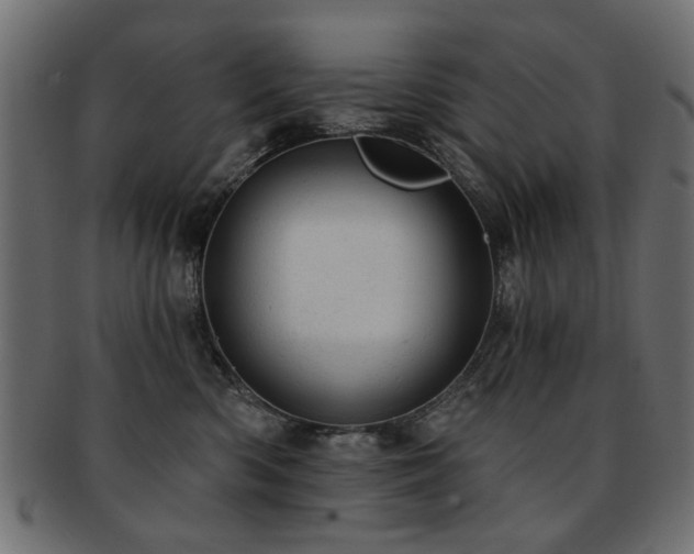 X0000093210426200709261600