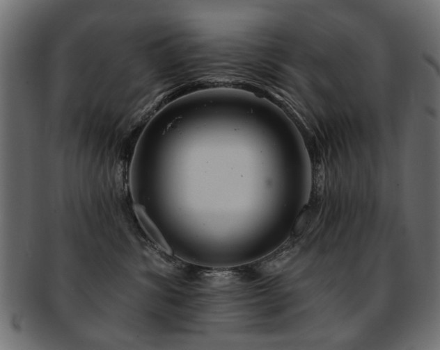 X0000093210428200709261600