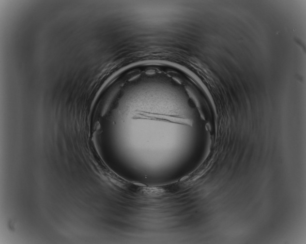 X0000093210429200709261600