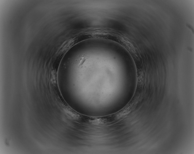 X0000093210430200709261600