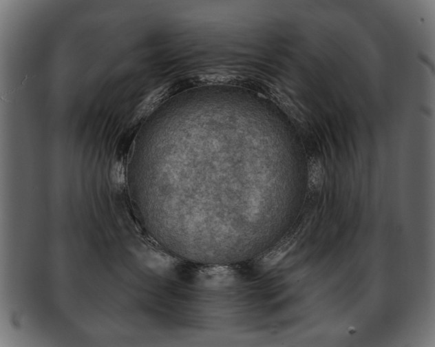 X0000093210431200709261600