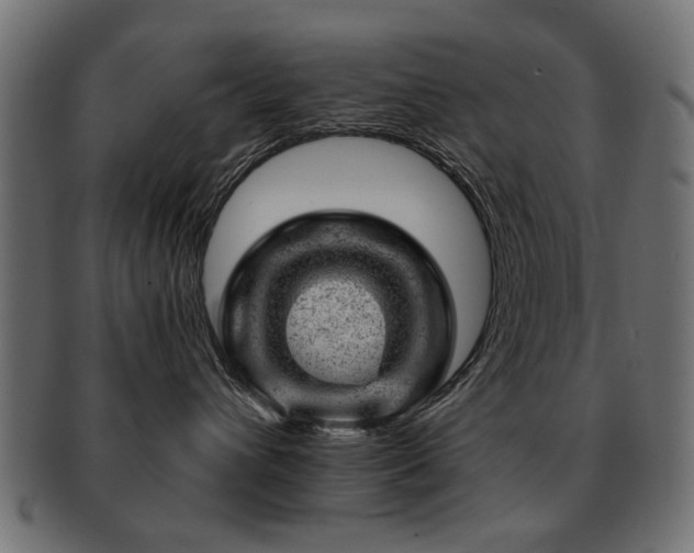 X0000093210432200709261600