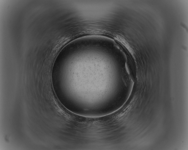 X0000093210433200709261559