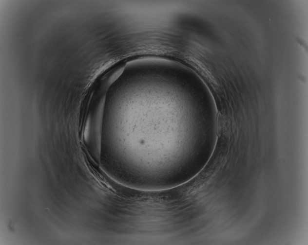 X0000093210434200709261559