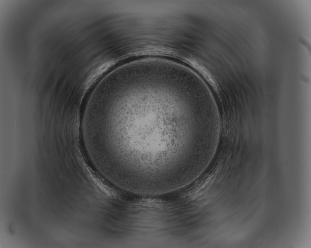 X0000093210437200709261559