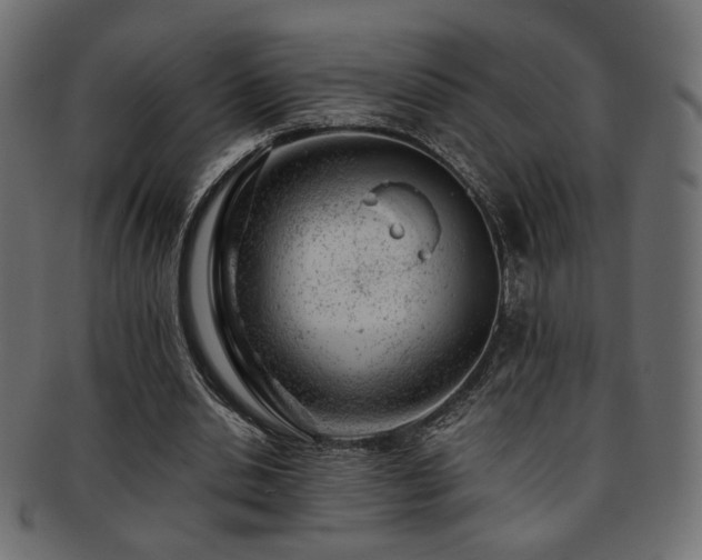 X0000093210438200709261559
