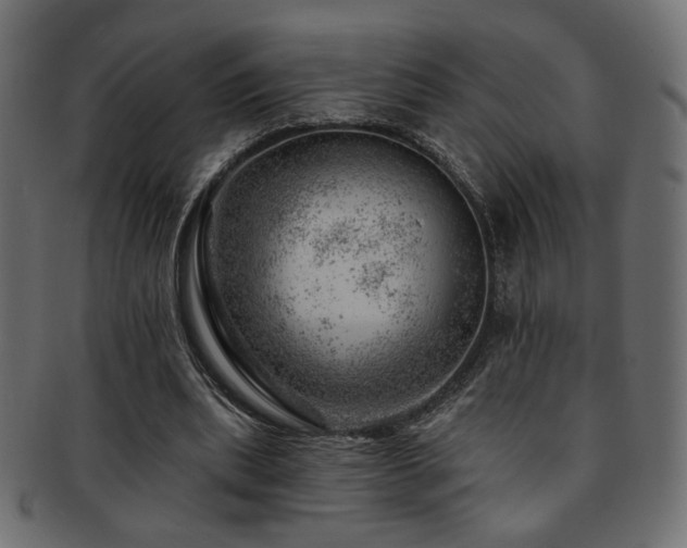 X0000093210439200709261600