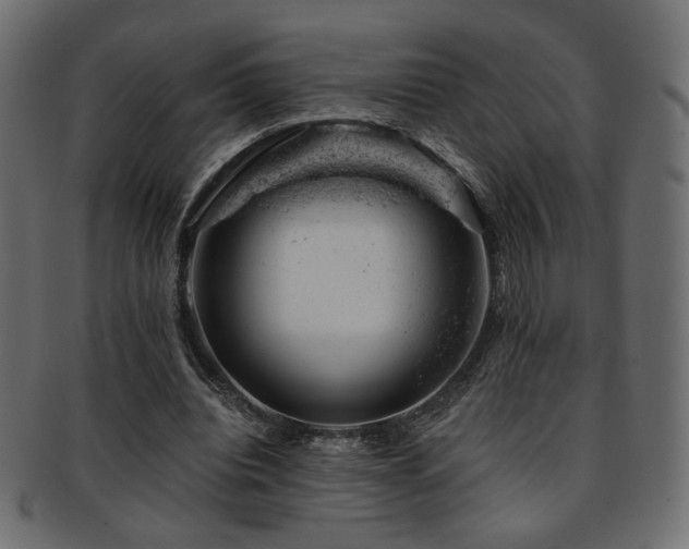 X0000093210440200709261600