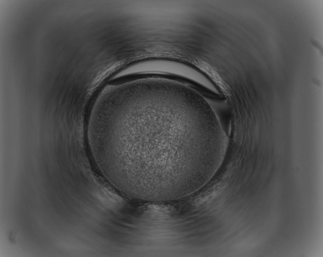 X0000093210442200709261600