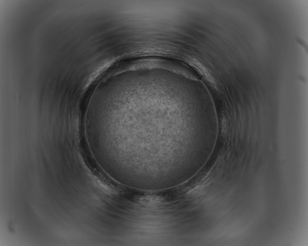 X0000093210444200709261600
