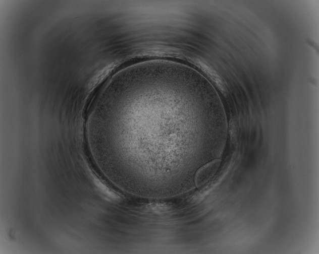X0000093210445200709261600