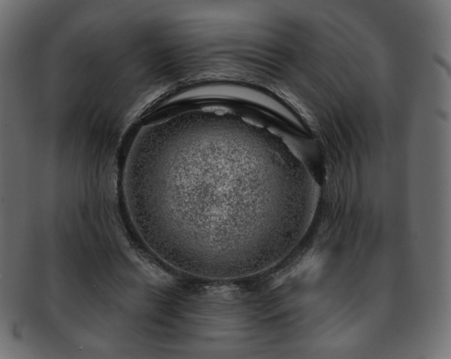 X0000093210446200709261600