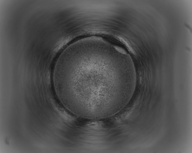 X0000093210447200709261600