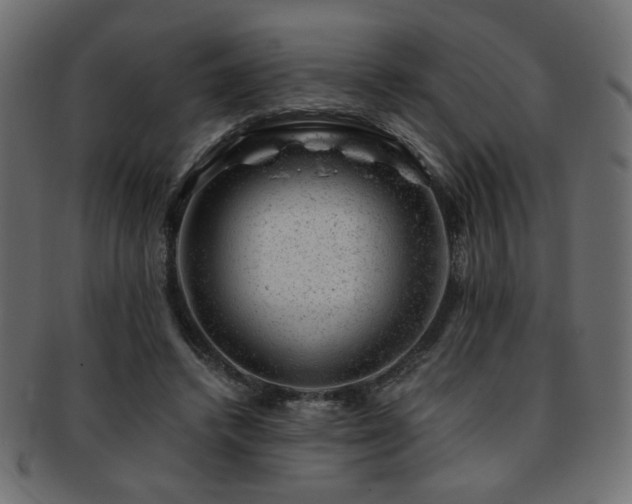 X0000093210448200709261600