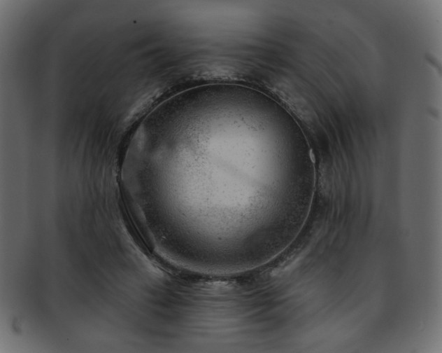 X0000093210449200709261600