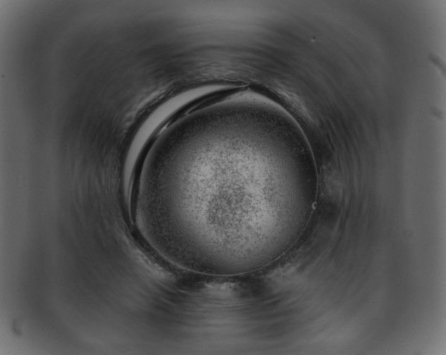 X0000093210450200709261600