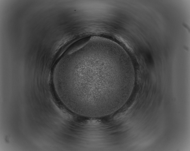 X0000093210451200709261600