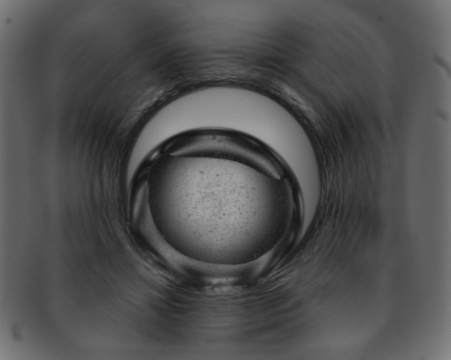X0000093210452200709261600