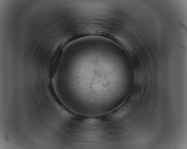 X0000093210453200709261600