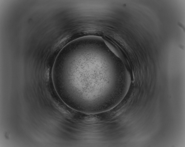 X0000093210454200709261600