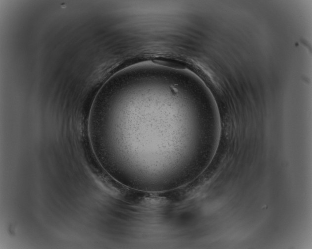 X0000093210455200709261600