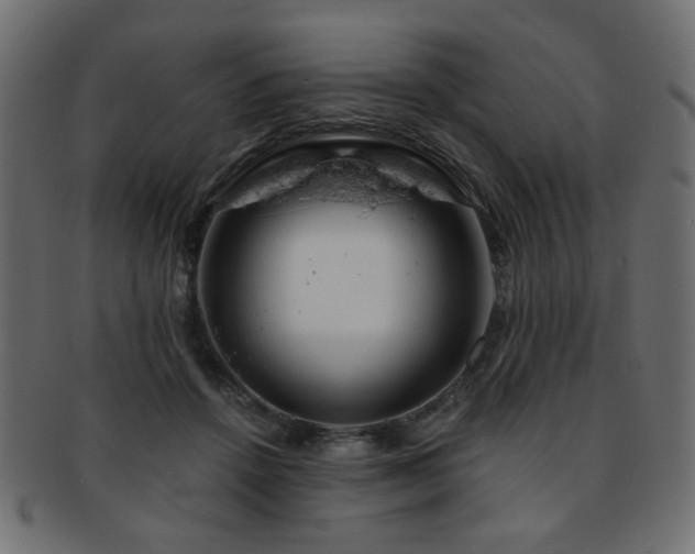 X0000093210456200709261600