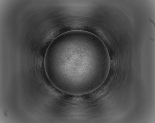 X0000093210458200709261600