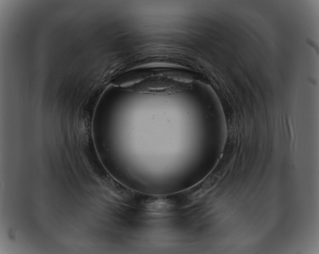 X0000093210460200709261600